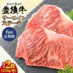 牛肉 サーロイン 全6回定期便 おおいた豊後牛