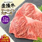 牛肉 サーロイン 全12回定期便 おおいた豊後牛