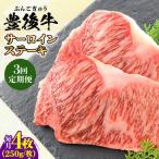 牛肉 サーロイン 全3回定期便 おおいた豊後牛