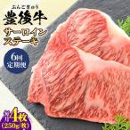 牛肉 サーロイン 全6回定期便 おおいた豊後牛