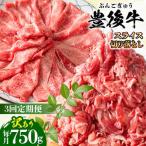 おおいた豊後牛 しゃぶしゃぶすき焼き セット