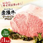 おおいた豊後牛 サーロイン ブロック 1kg