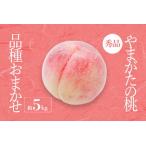 秀品 桃 品種おまかせ 約5kg_H206