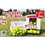 ふるさと納税 <25年発送先行予約>シャインマスカット 山梨 「ポンポンBox 大粒2房分」 種なし ぶどう ギフト 贈答 敬老の日 山梨県154-050 154.. 山梨県笛吹市