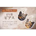 まち猫ピアス アクセサリー ピアス 耳飾り