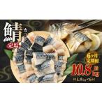定塩 一汐鯖カット 約1.8kg