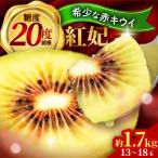 赤キウイ 紅妃 特大サイズ1.7kg BKCD001