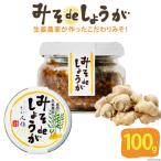 BI204 みそdeしょうが 100g