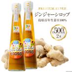 BI201 ジンジャー シロップ 250g