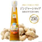 BI200 ジンジャー シロップ 250g