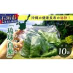 沖縄の健康長寿の秘訣 琉球百薬 おかわかめ 10袋