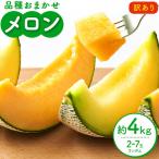 メロン 訳ありメロン 品種おまかせ 約4kg