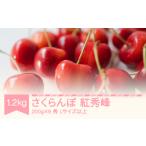ふるさと納税 先行予約 2025年産 さくらんぼ 紅秀峰 Lサイズ以上 秀 1.2kg(200g×6) 山形県産 フルーツ 果物 くだもの サクランボ sb-bsslx1.. 山形県村山市