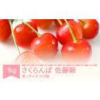 ふるさと納税 【先行予約】さくらんぼ 佐藤錦 秀 Lサイズ 1kg バラ詰 令和8年産 2026年産 山形県産 フルーツ 果物 くだもの サクランボ ※沖縄・.. 山形県村山市