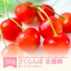 さくらんぼ 佐藤錦 720g