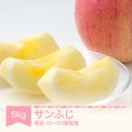 2026年産 サンふじ 秀品 約5kg