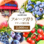 フルーツ狩りチケット 妹尾観光農園