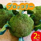 ブロッコリー 約2kg