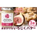 ふるさと納税 いちじく バター あまかける いちじくバター 3本セット (1本約150g) 藤井農園《30日以内に出荷予定(土日祝除く)》大阪府 羽曳野.. 大阪府羽曳野市