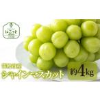 ふるさと納税 <25年発送先行予約>シャインマスカット4kg 097-021 山梨県笛吹市