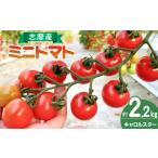 ミニトマト 約2.2kg