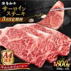 博多和牛 サーロイン ステーキ 800g