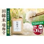 田縁米 でんえんまい 瑞梅寺 ずいばいじ 白米 5kg