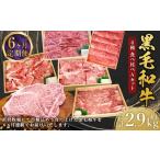 牛肉 すき焼き 6回定期便 黒毛和牛 6種