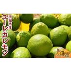 ユーレカレモン 約5kg