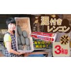 ふるさと納税 A5-052 【先行予約】佐賀県産泥付きレンコン（3kg）　5千円コース 佐賀県小城市