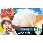 特別栽培米 コシヒカリ 5kg