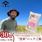 パックご飯 玄米黒米ブレンド ヤマチョウのごはん