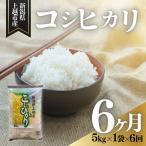 令和8年産 コシヒカリ 精米 上越産 5kg