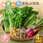 春夏秋冬 季節のお野菜セット サイズ小 約8~10種