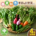 春夏秋冬 季節のお野菜セット サイズ中 約11~13種 野菜定期便 詰め合わせ