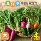 春夏秋冬 季節のお野菜セット サイズ大 約15~17種 野菜定期便 詰め合わせ