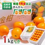 2027年発送 糖度16度以上 宮崎完熟きんかんたまたま 1kg