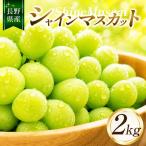 シャインマスカット2kg ちのふぁーむ