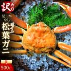 足1本なしボイル松葉ガニ 並500g 訳あり