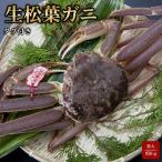 タグ付き生松葉ガニ 特大950g