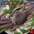 タグ付き生松葉ガニ 大800g