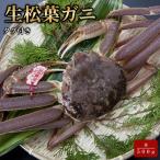 タグ付き生松葉ガニ 並500g