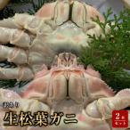 訳あり生松葉ガニ2枚セット