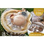 ふるさと納税 fn-39-024 泳ぐホタテ (12.5cm以上) 10枚 ヤマキイチ商店 刺身 海鮮 貝 岩手県釜石市