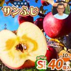 サンふじ 食べきりSサイズ 約10kg