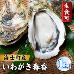 牡蠣 LLサイズ 5個