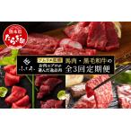 お肉ソムリエ監修 馬肉 黒毛和牛 定期便 馬刺し