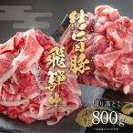 飛騨牛 切り落とし 800g