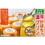 濃厚 かぼちゃプリン 6個入り