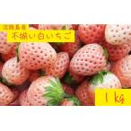 ショッピングふるさと納税 訳あり 不揃い ふるさと納税 【先行予約】【不揃い】【訳あり】 淡路島産 白いちご 無選別(約1kg) ※2026年1月中旬以降より順次発送予定 / いちご 兵庫県